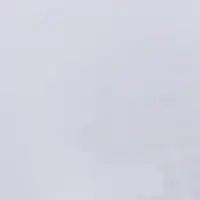 700228285-7.webp